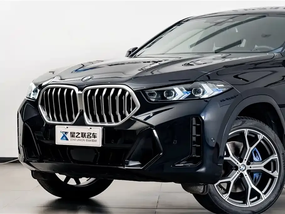 BMW X6 — фото 7