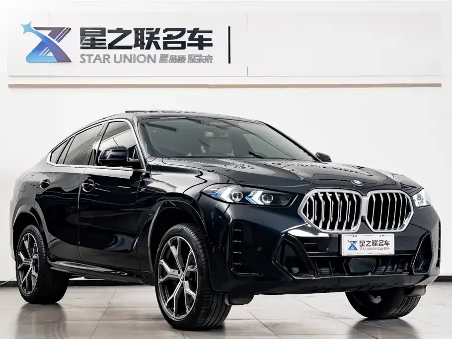 BMW X6 — фото 4