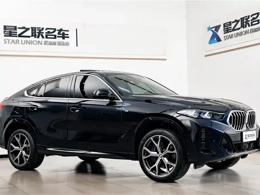 BMW X6 — фото 9
