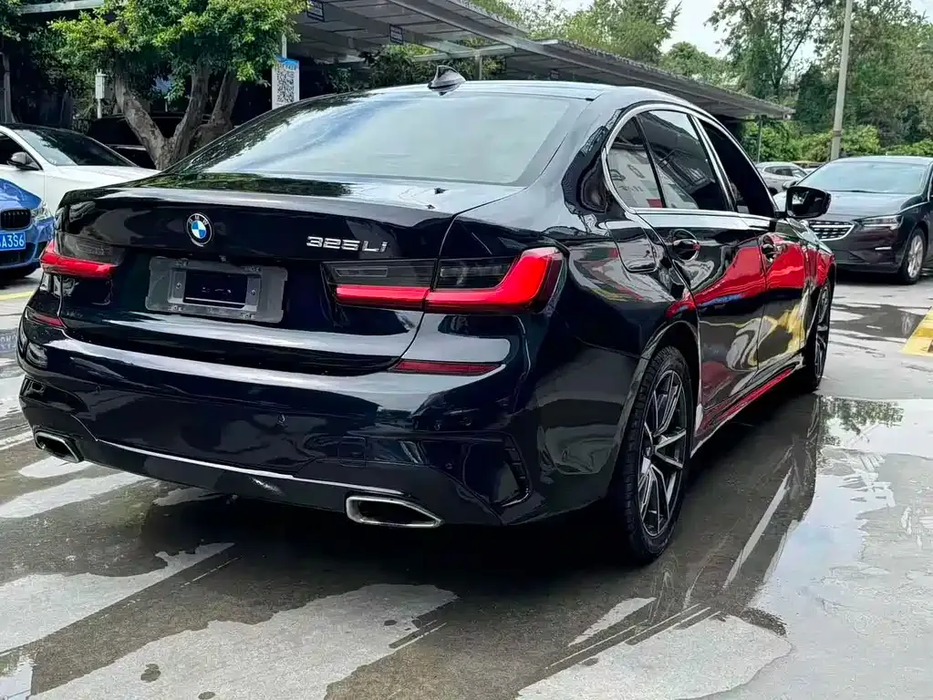 BMW 3 Series 2021 из CN, фото 7