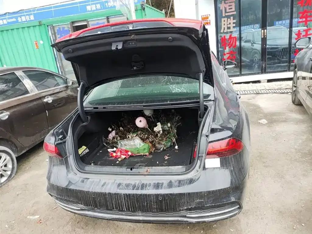 Audi A7L 2023 из CN, фото 8