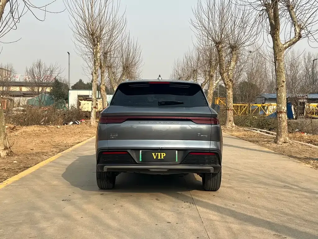 BYD Pro New Energy — фото 6