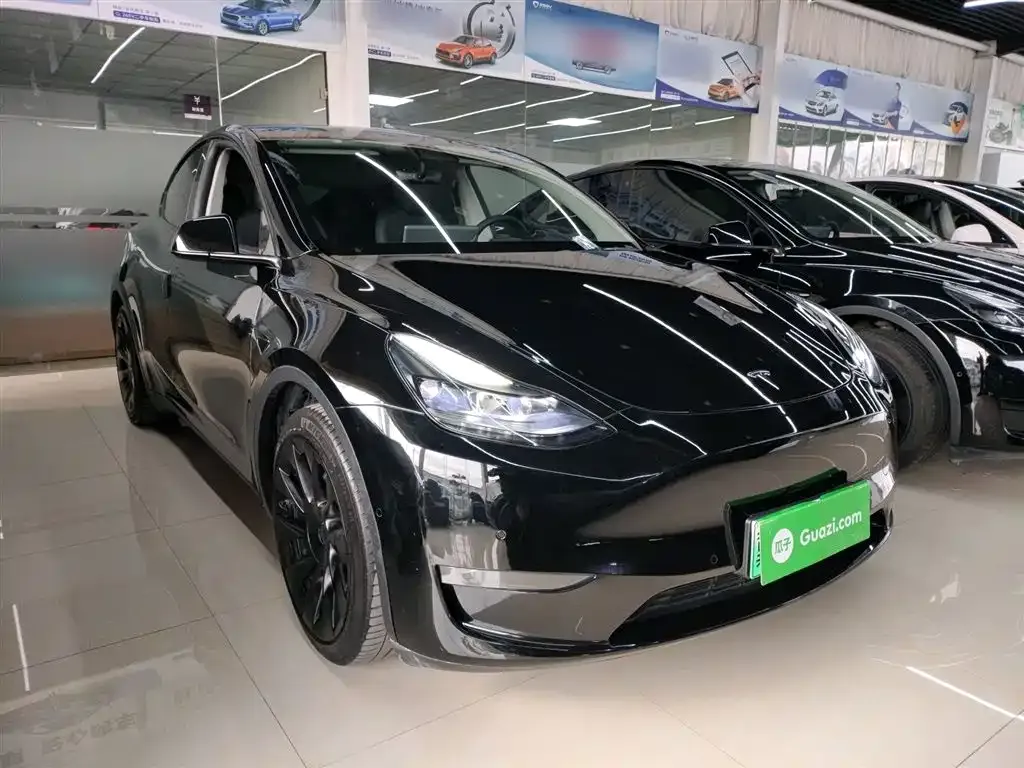 Tesla Model Y 2021 из CN, фото 6
