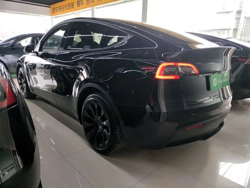 Tesla Model Y 2021 из CN, фото 9