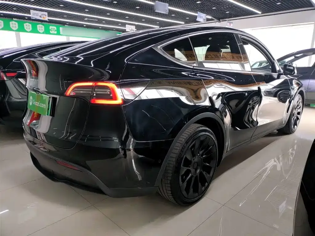 Tesla Model Y 2021 из CN, фото 2