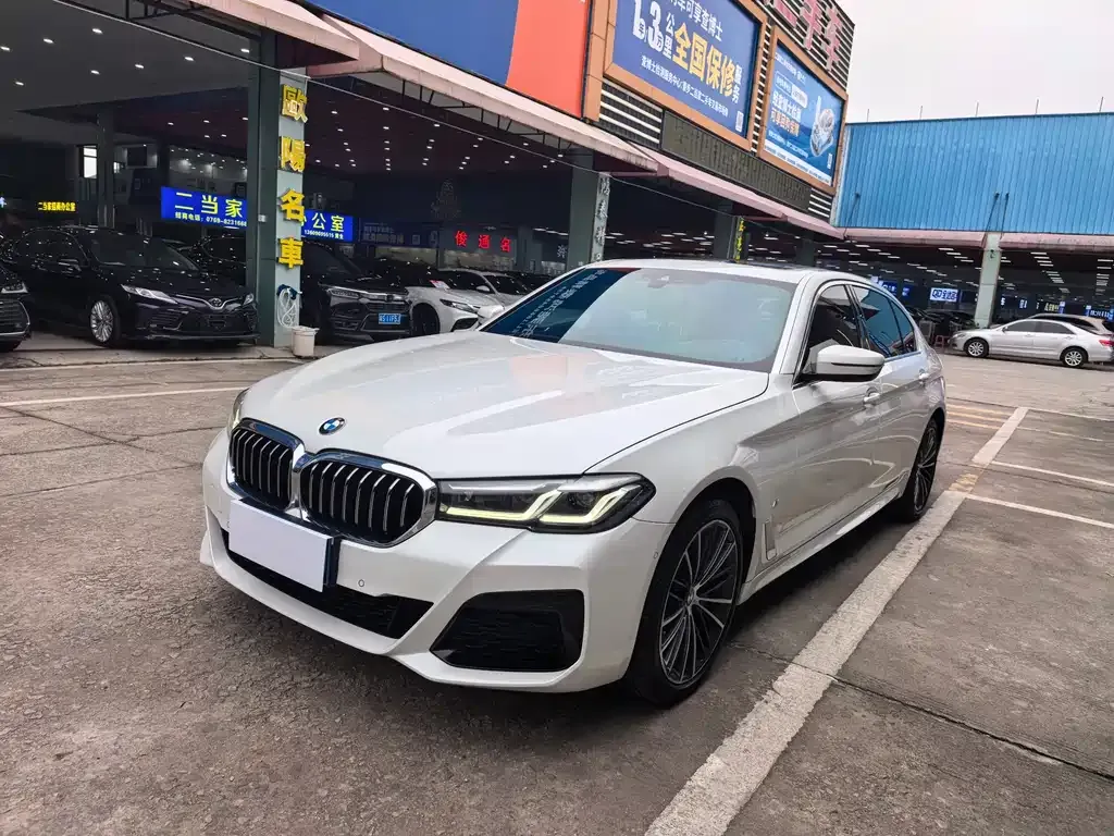 BMW 5 Series 2022 из CN, фото 1