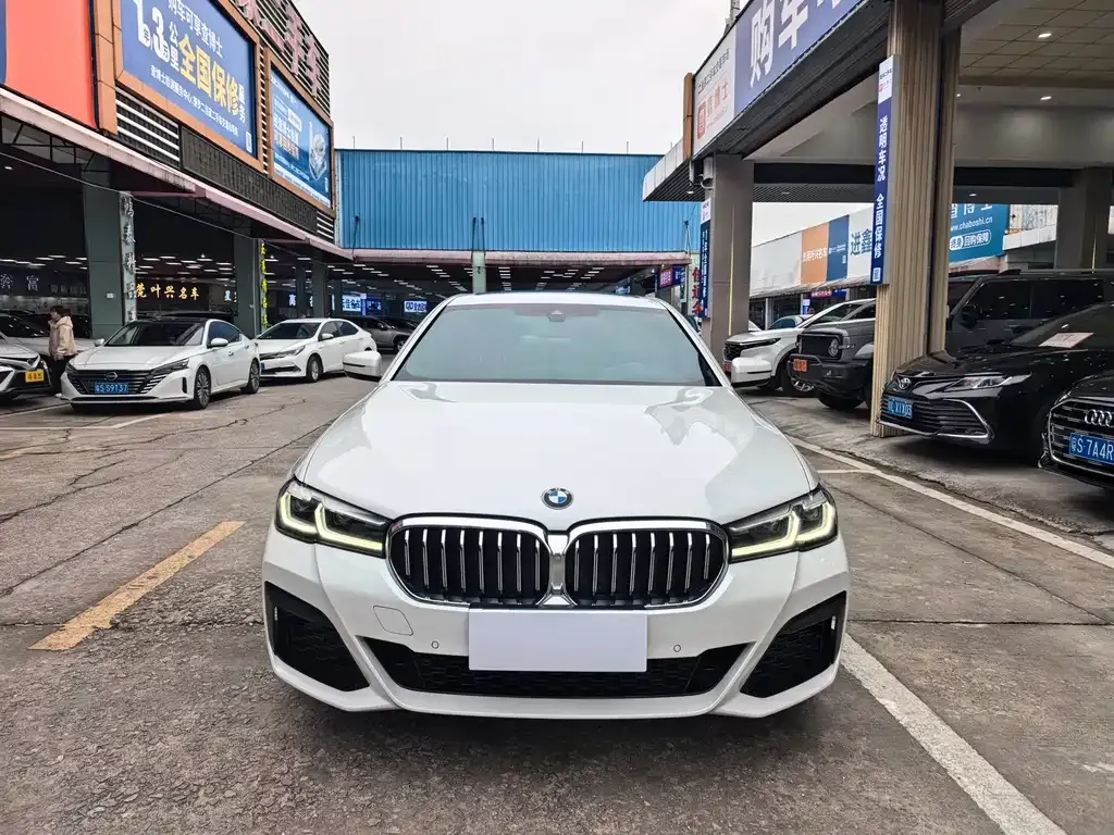 BMW 5 Series 2022 из CN, фото 9