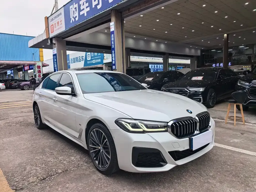 BMW 5 Series 2022 из CN, фото 4