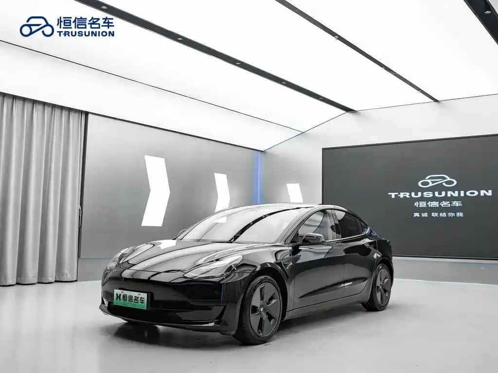 Tesla Model 3 2021 из CN, фото 1