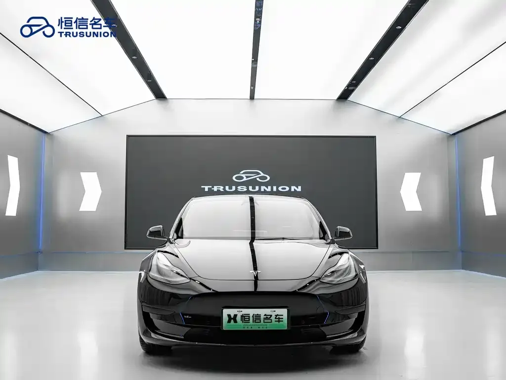 Tesla Model 3 2021 из CN, фото 7