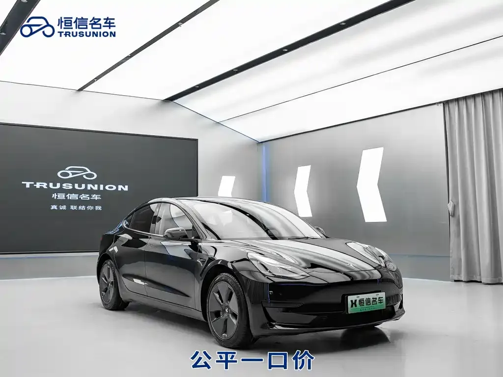 Tesla Model 3 2021 из CN, фото 10