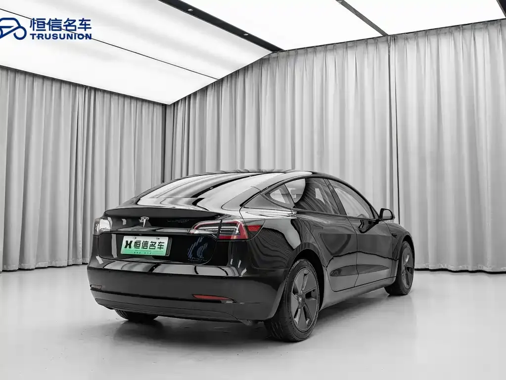 Tesla Model 3 2021 из CN, фото 8