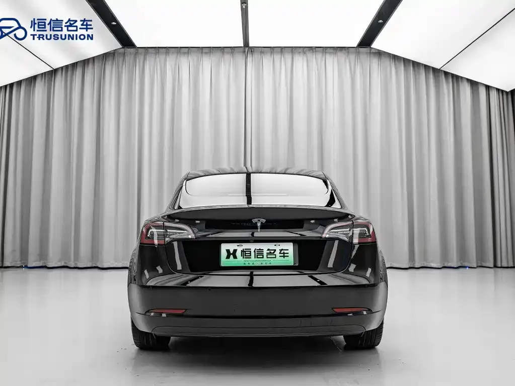 Tesla Model 3 2021 из CN, фото 3