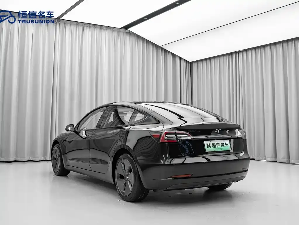 Tesla Model 3 2021 из CN, фото 2