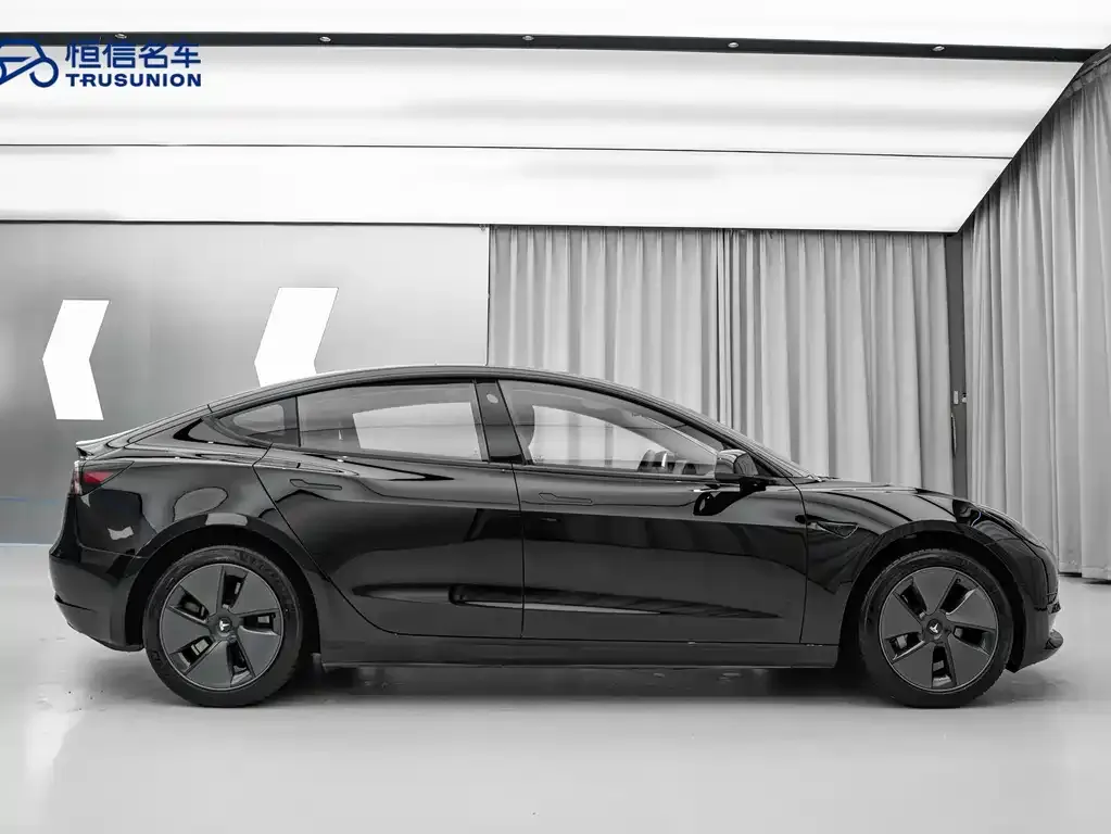 Tesla Model 3 2021 из CN, фото 6