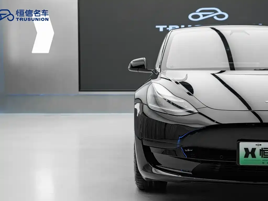 Tesla Model 3 2021 из CN, фото 9
