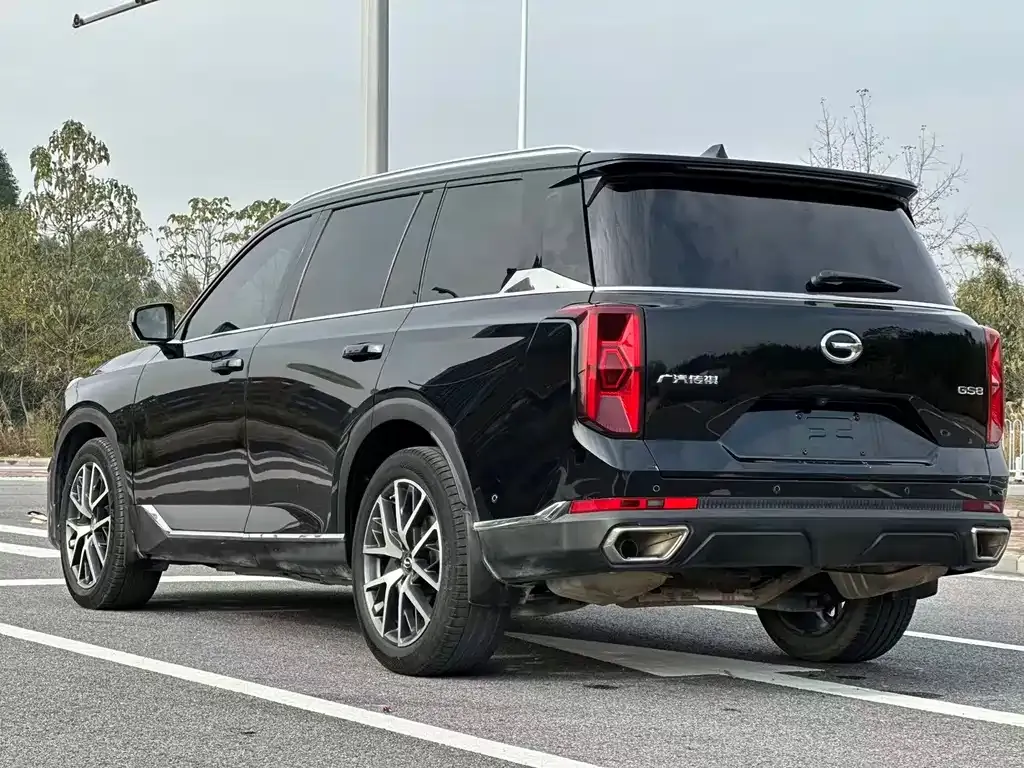 GAC Motor Trumpchi GS8 — фото 3