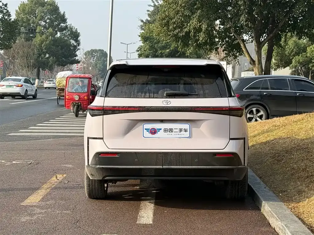 Toyota Platinum 3X 2025 из CN, фото 6
