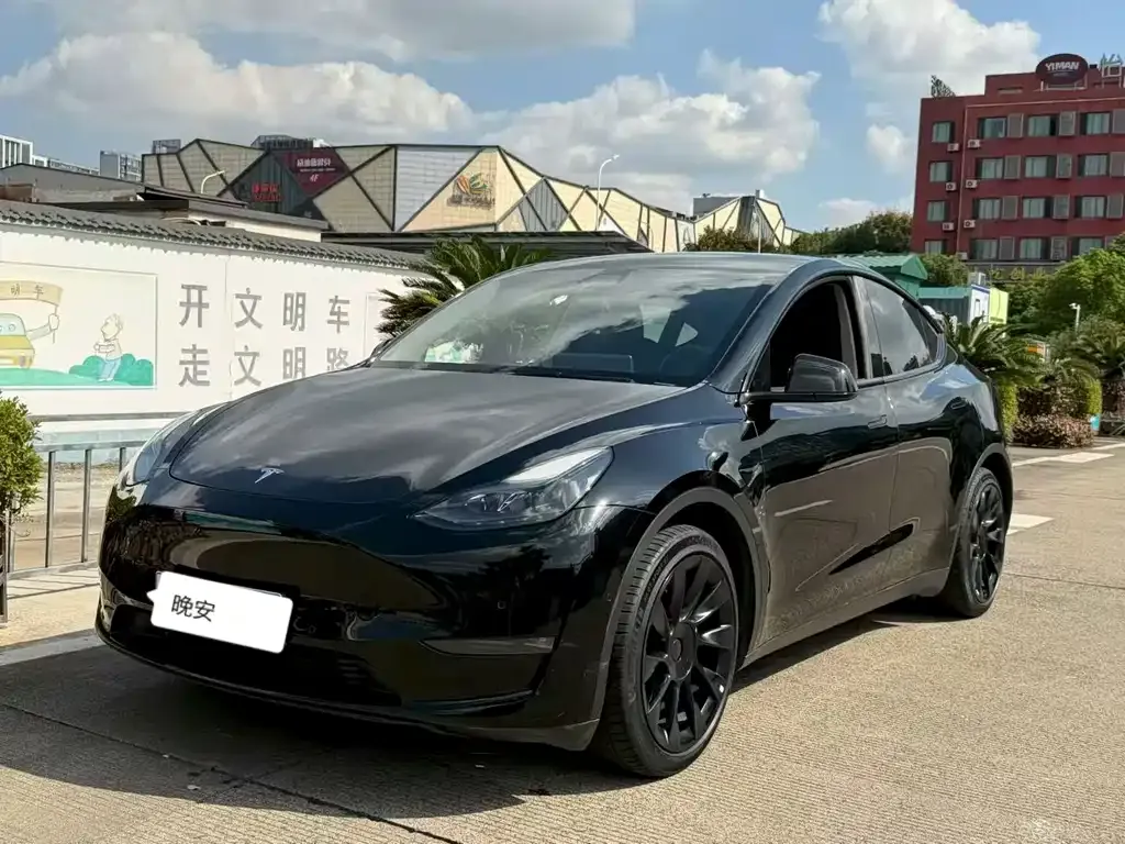 Tesla Model Y 2022 из CN, фото 1
