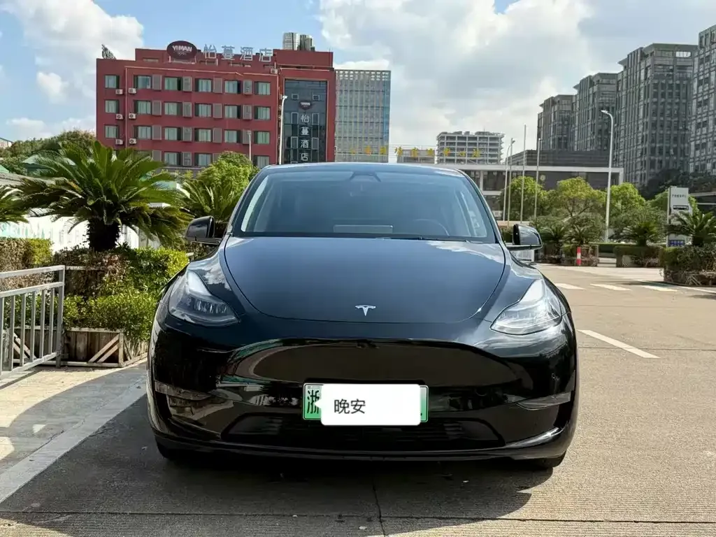 Tesla Model Y 2022 из CN, фото 8