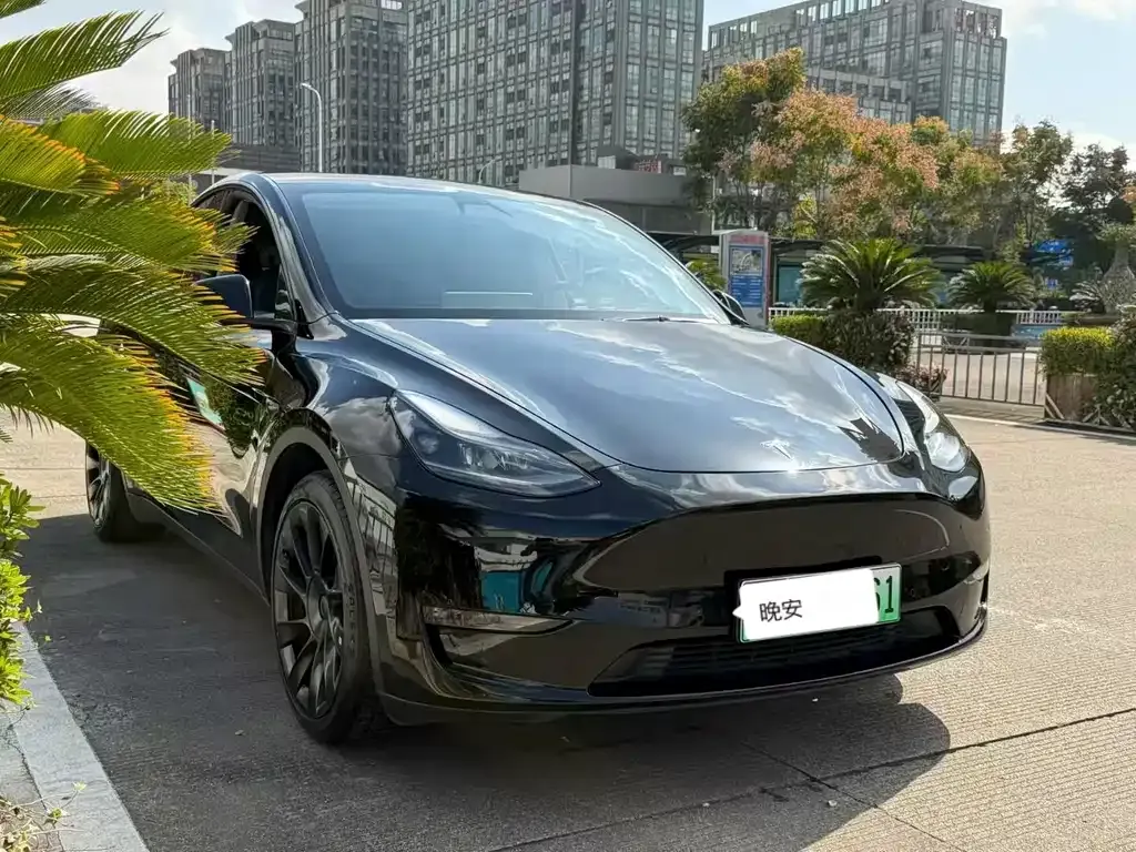 Tesla Model Y 2022 из CN, фото 7