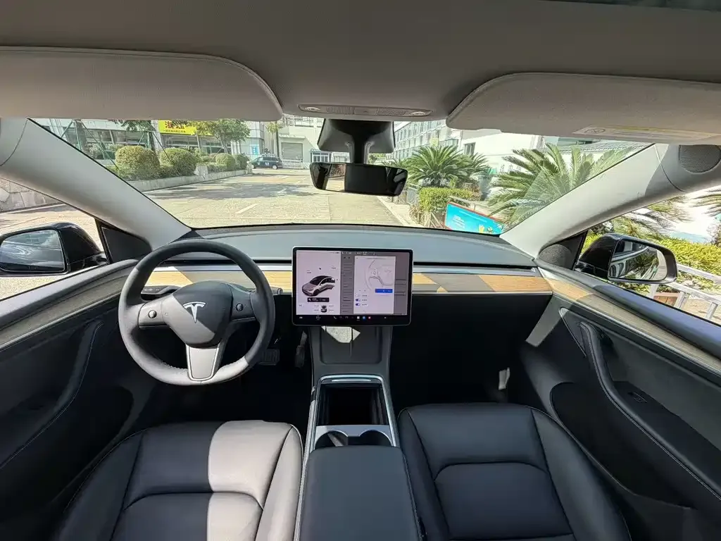 Tesla Model Y 2022 из CN, фото 5