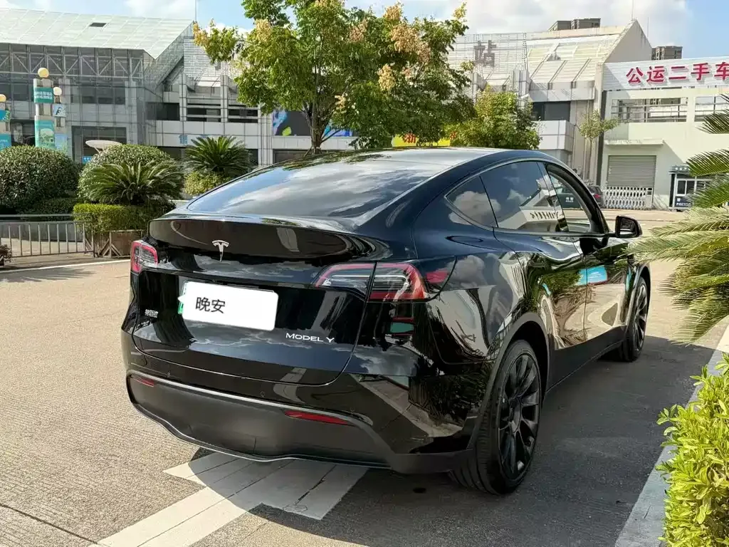 Tesla Model Y 2022 из CN, фото 4