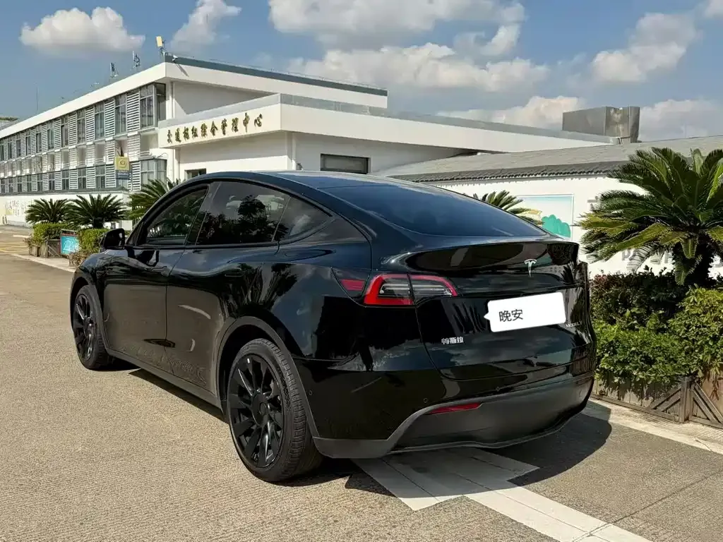 Tesla Model Y 2022 из CN, фото 6