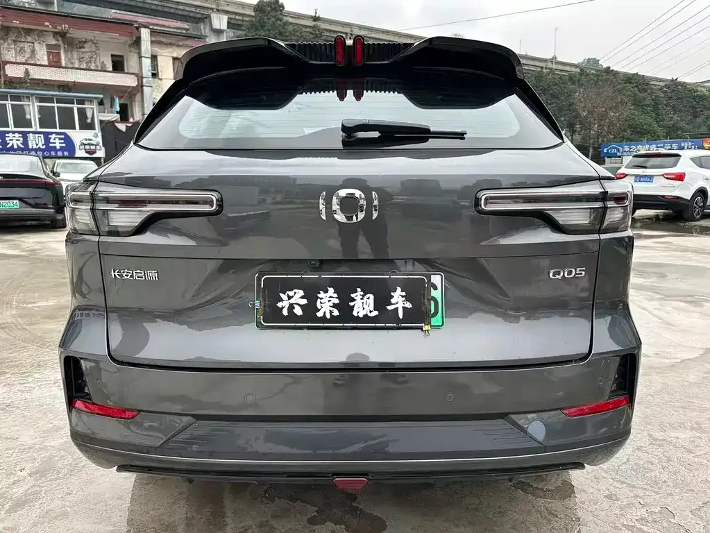 Qiyuan Q05 Classic 2024 из CN, фото 3