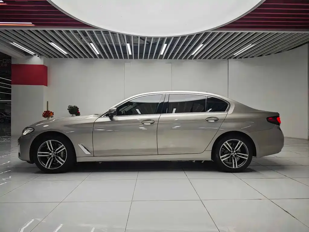 BMW 5 Series 2023 из CN, фото 10
