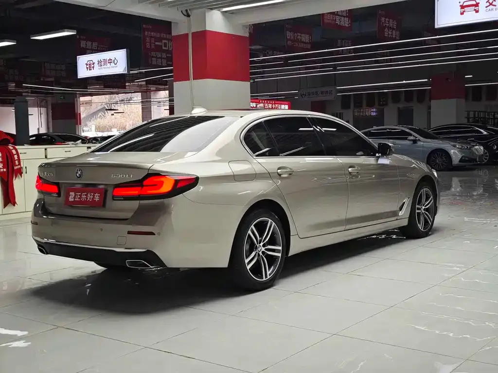 BMW 5 Series 2023 из CN, фото 5