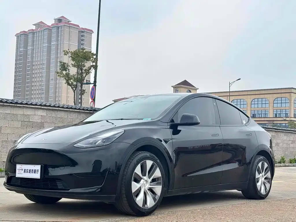 Tesla Model Y 2022 из CN, фото 1