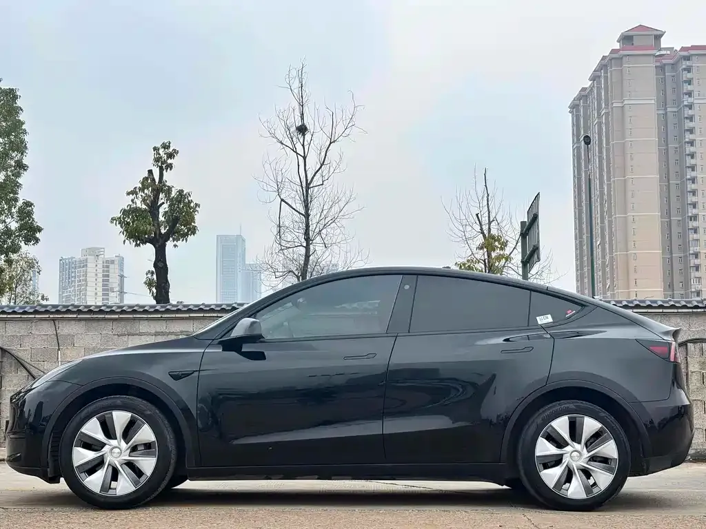 Tesla Model Y 2022 из CN, фото 7