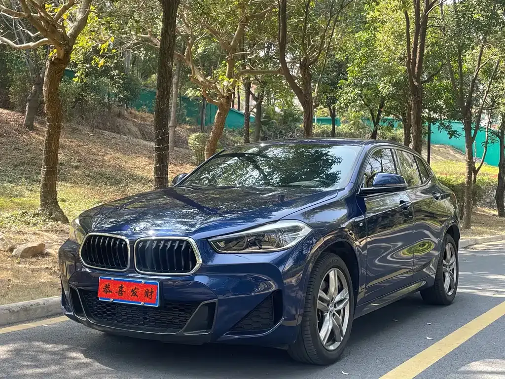 BMW X2 2021 из CN, фото 1