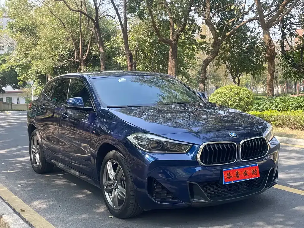 BMW X2 2021 из CN, фото 10