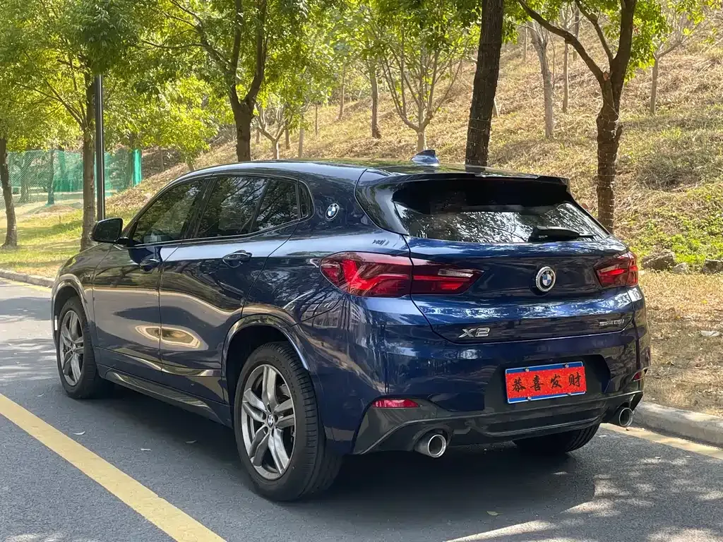 BMW X2 2021 из CN, фото 9