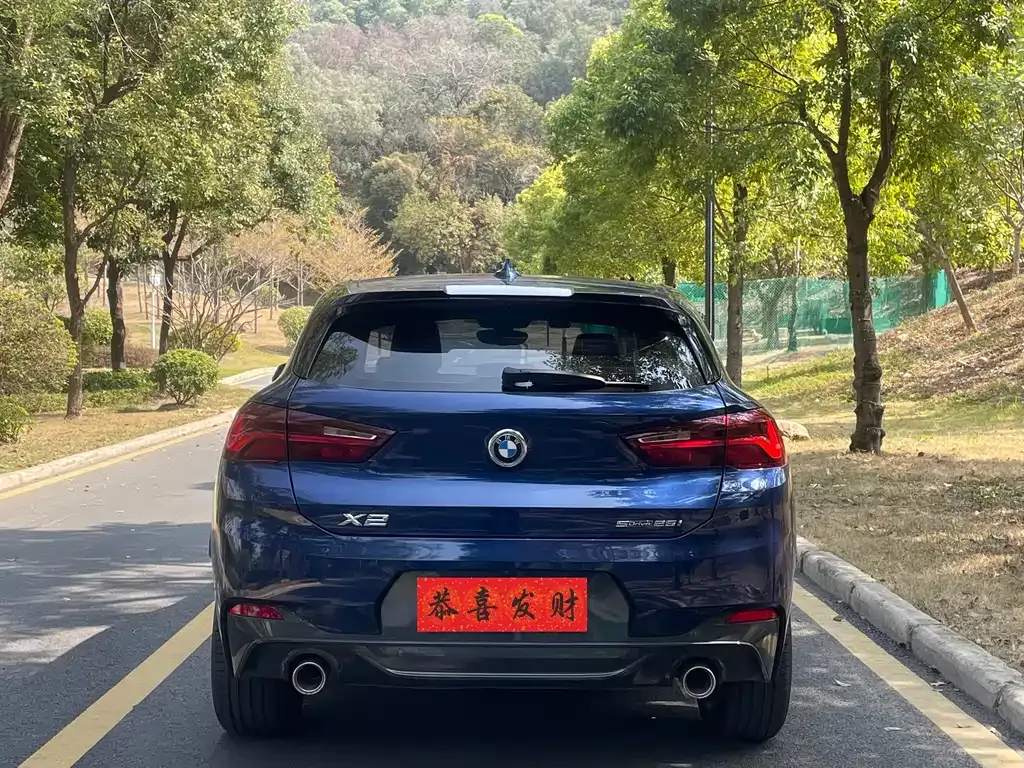 BMW X2 2021 из CN, фото 5