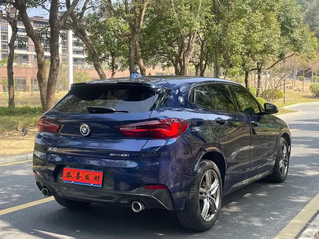 BMW X2 2021 из CN, фото 8