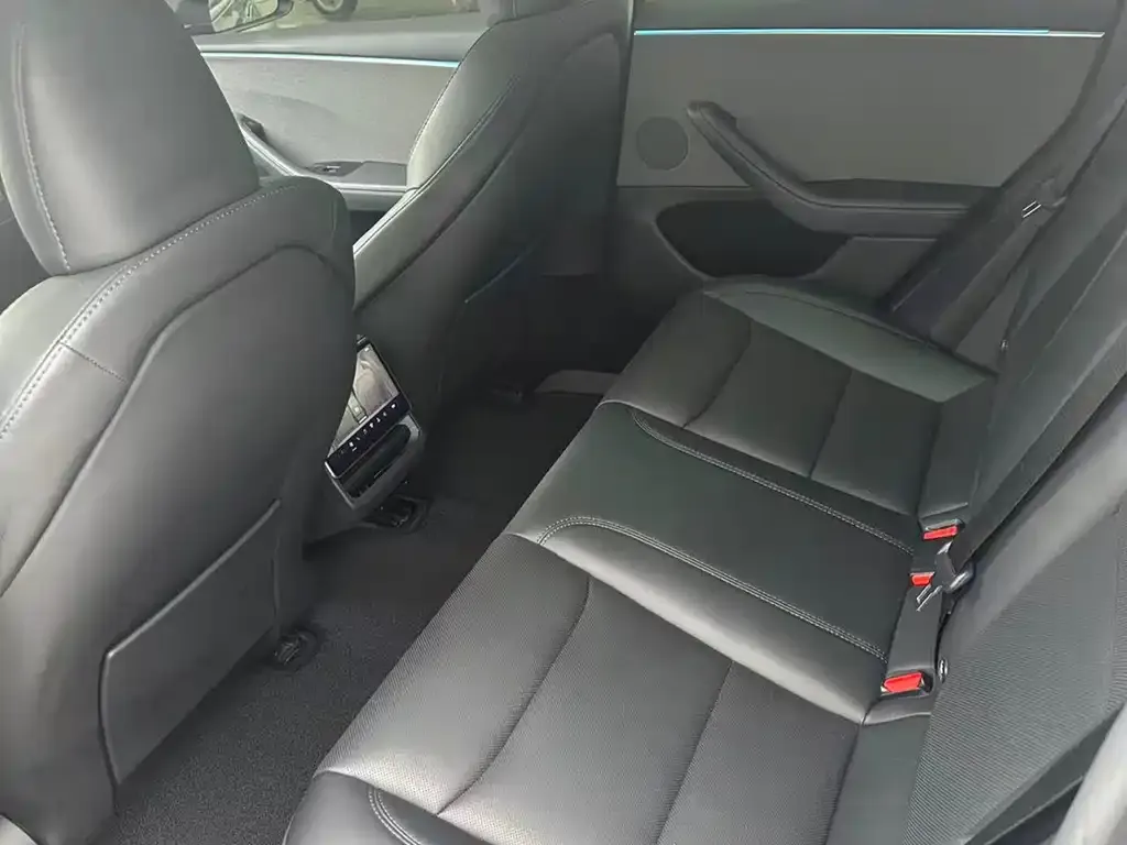 Tesla Model 3 2023 из CN, фото 4