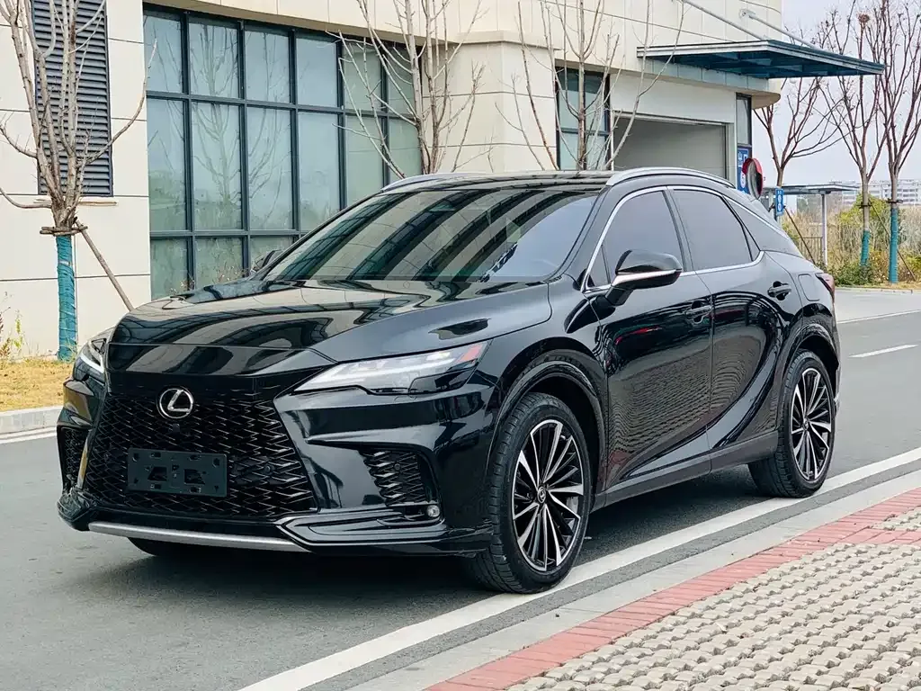 Lexus RX 2023 из CN, фото 1