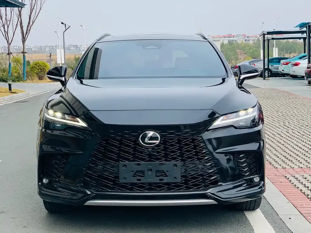 Lexus RX 2023 из CN, фото 8