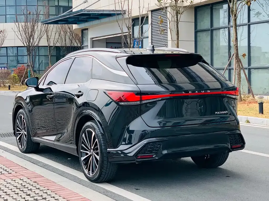 Lexus RX 2023 из CN, фото 10