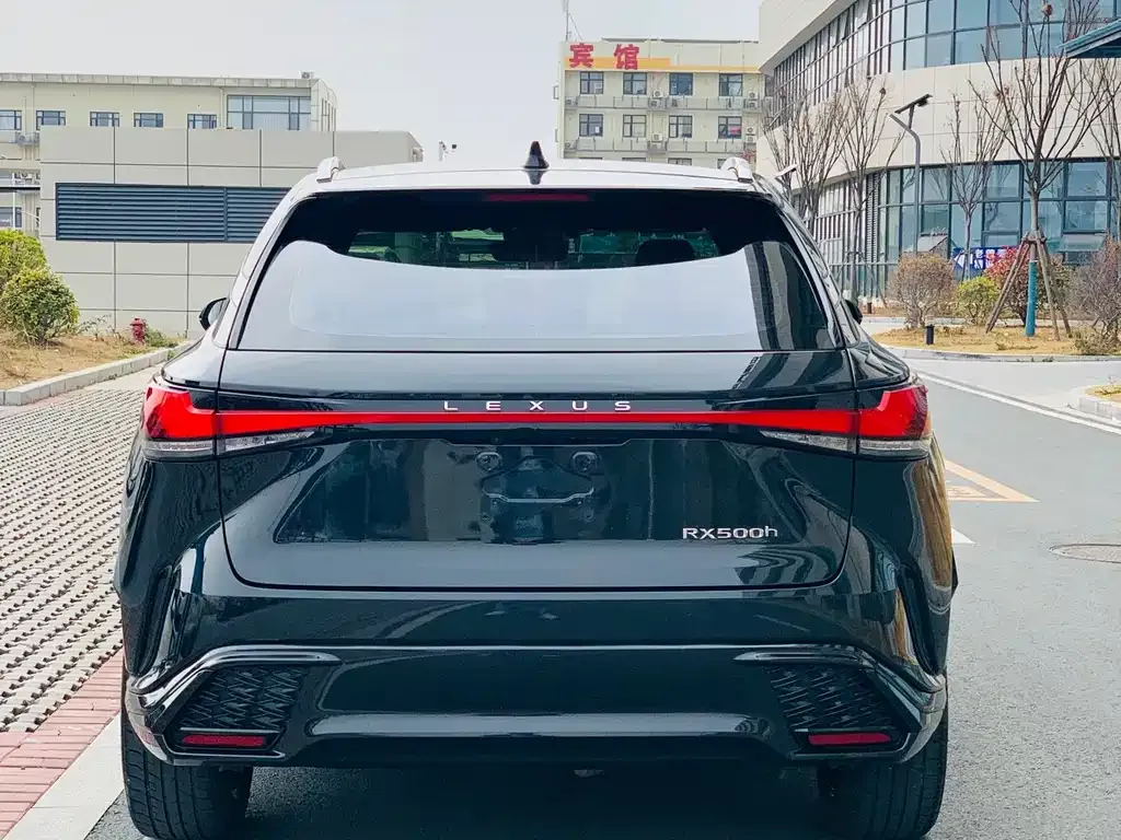 Lexus RX 2023 из CN, фото 6
