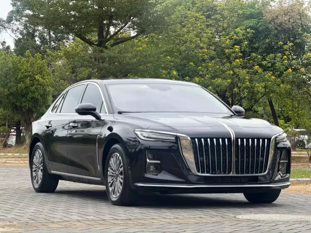 Hongqi H5 2024 из CN, фото 9