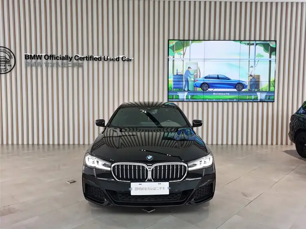 BMW 5 Series 2023 из CN, фото 9