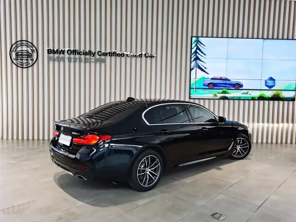 BMW 5 Series 2023 из CN, фото 10