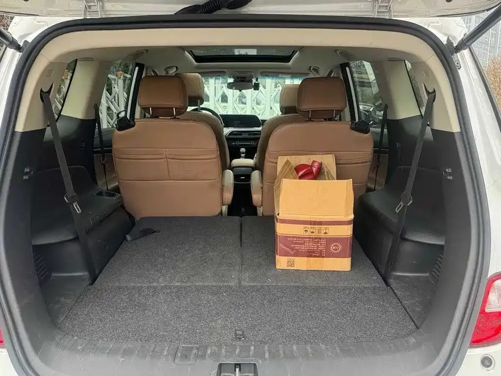 Buick GL6 2022 из CN, фото 3