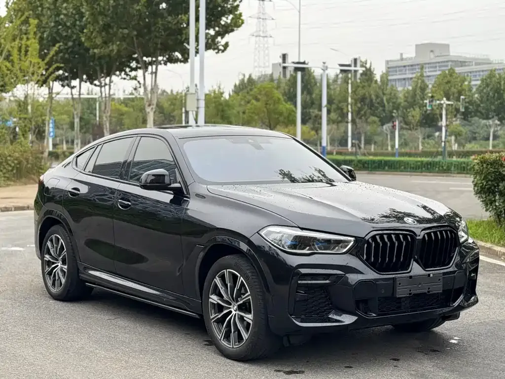 BMW X6 2022 из CN, фото 6