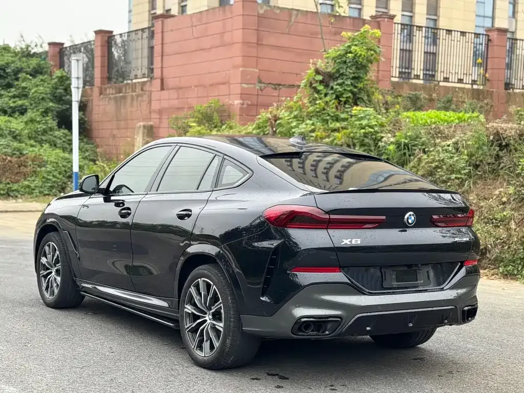 BMW X6 2022 из CN, фото 8