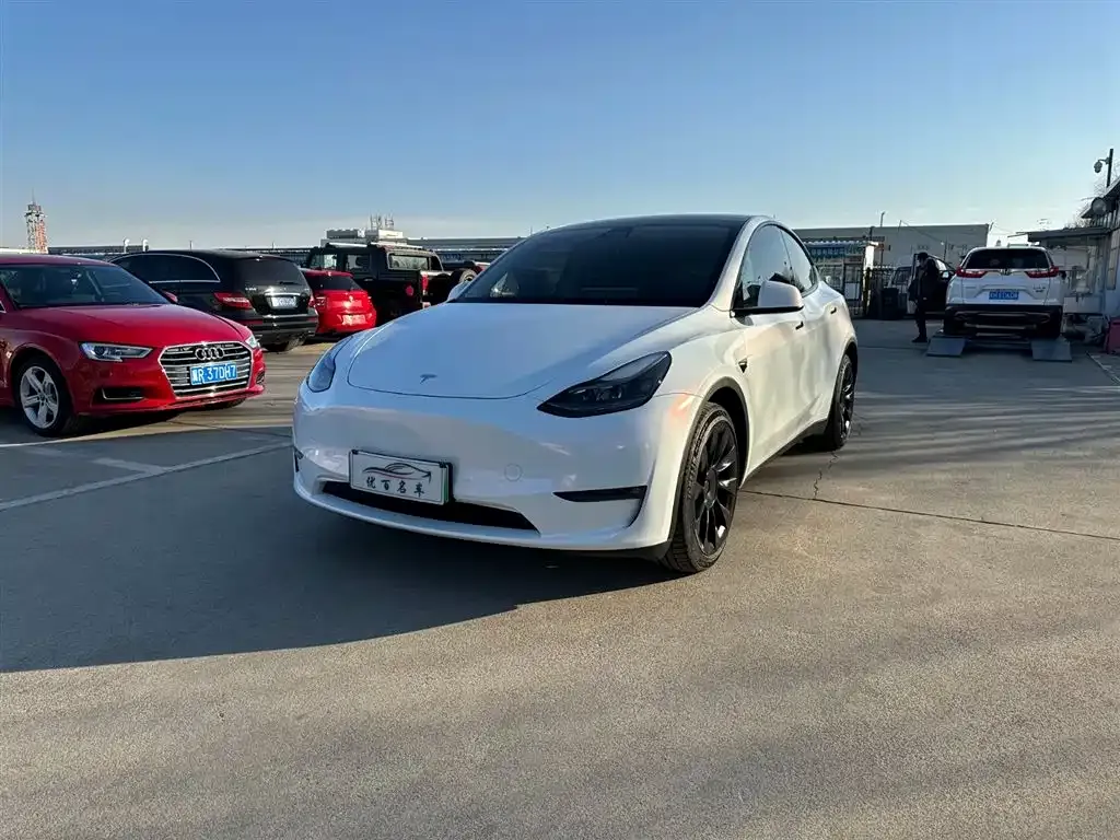 Tesla Model Y — фото 1
